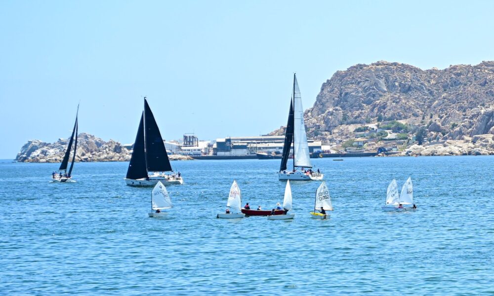 Regata