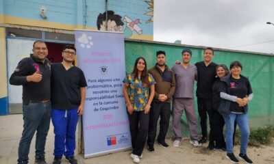 esterilización animales
