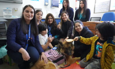 perro