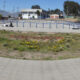 fortin motta