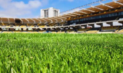 estadio