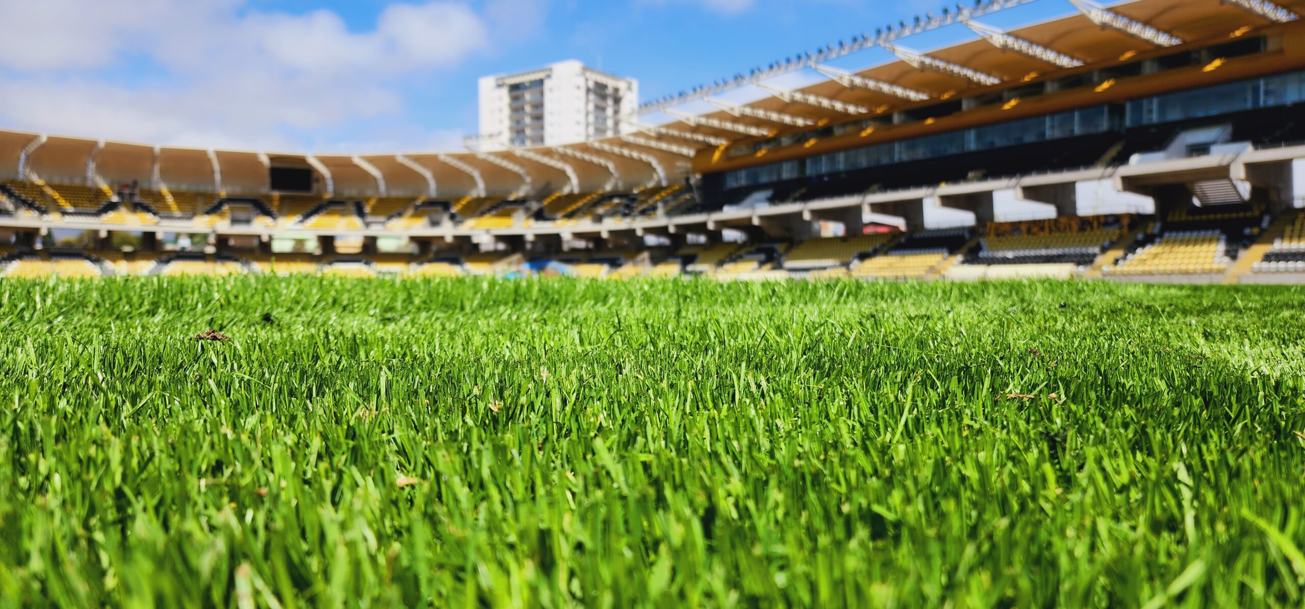 estadio