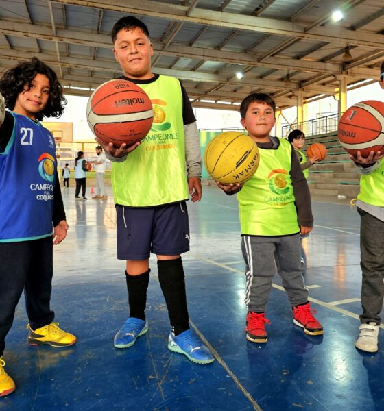 Escuelas deportivas