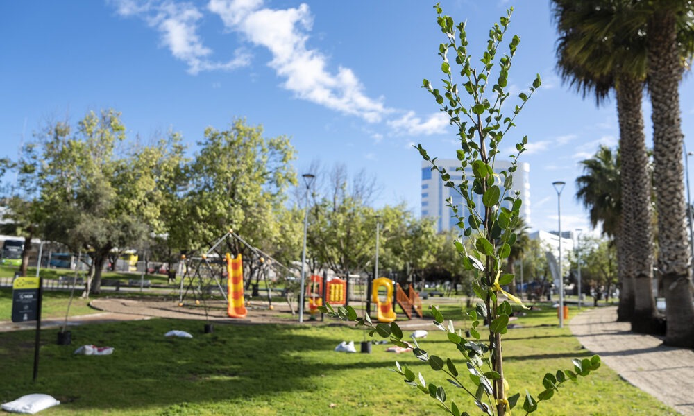 parque O'Higgins