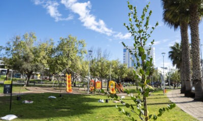 parque O'Higgins