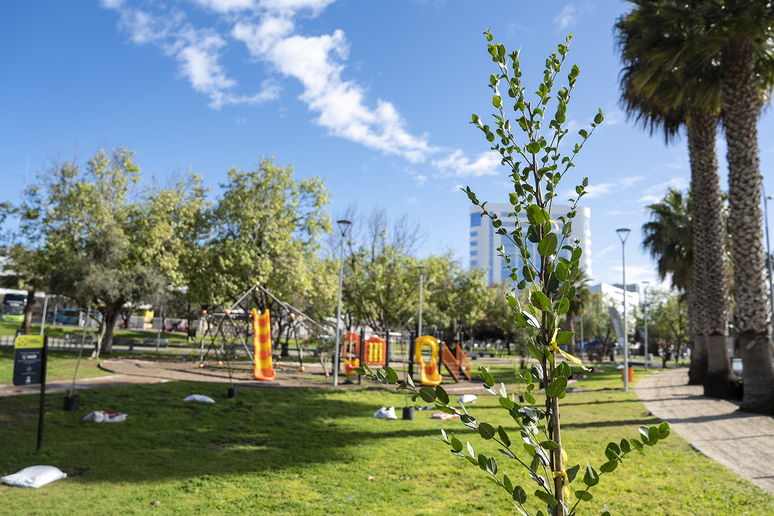 parque O'Higgins