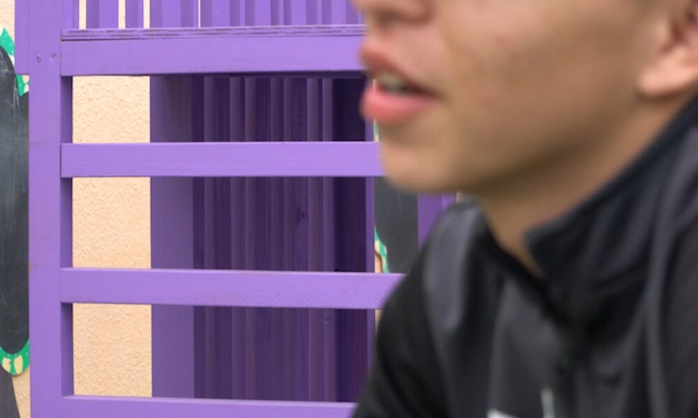 reinserción