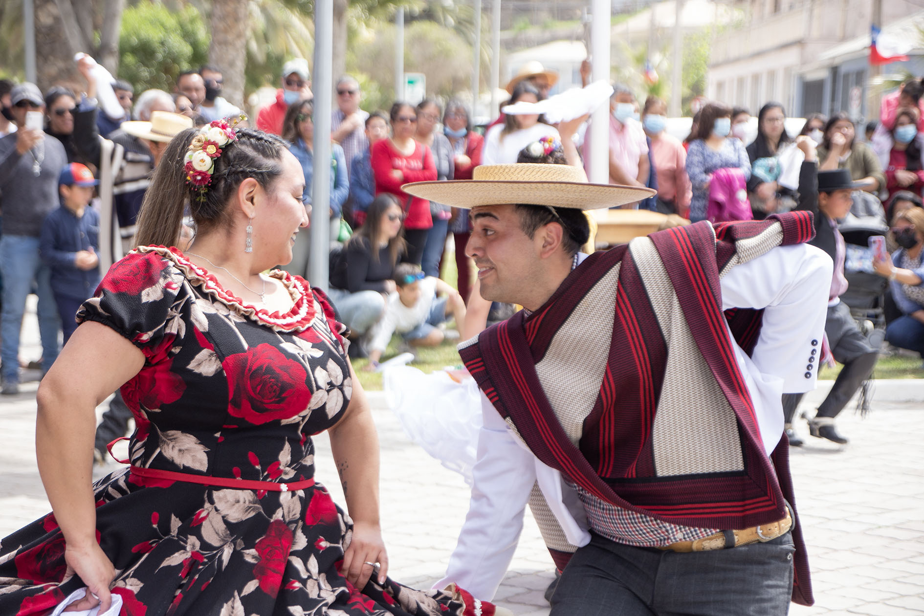 fiestas patrias tongoy