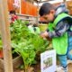 conciencia ambiental