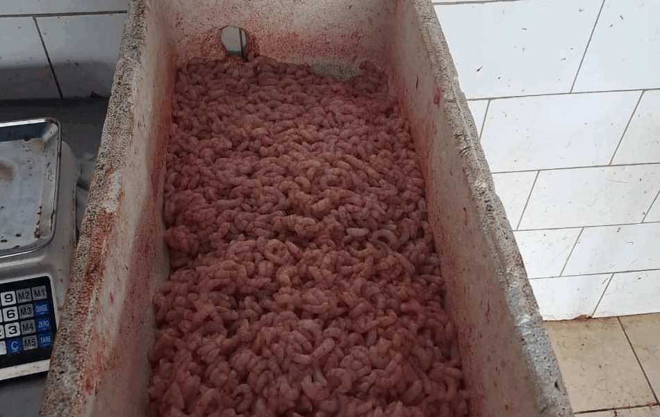 camarones