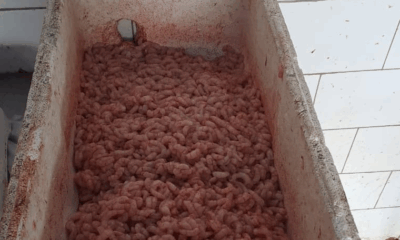 camarones