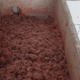 camarones