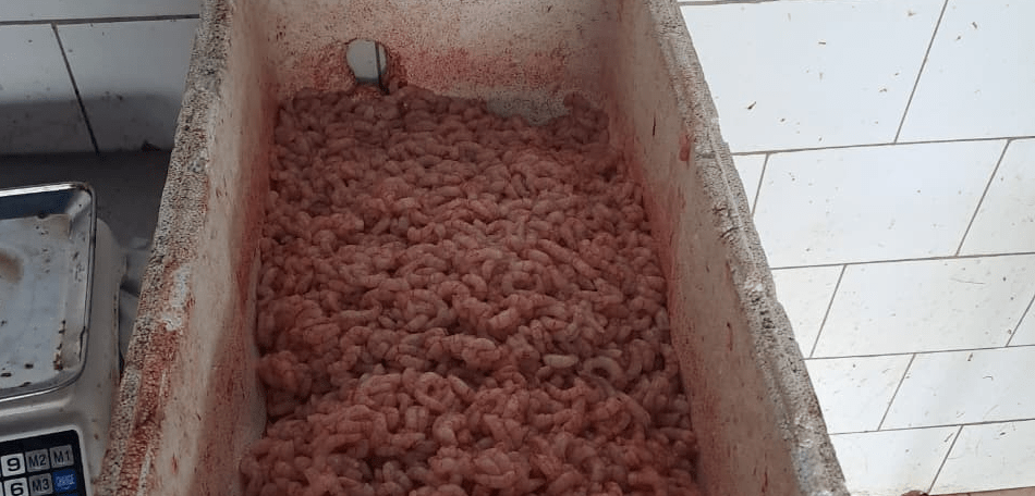 camarones