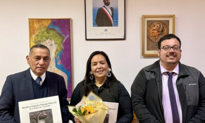 directora Guanaqueros