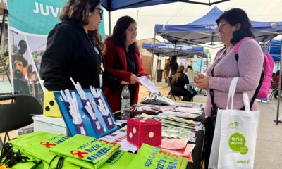 servicios en terreno