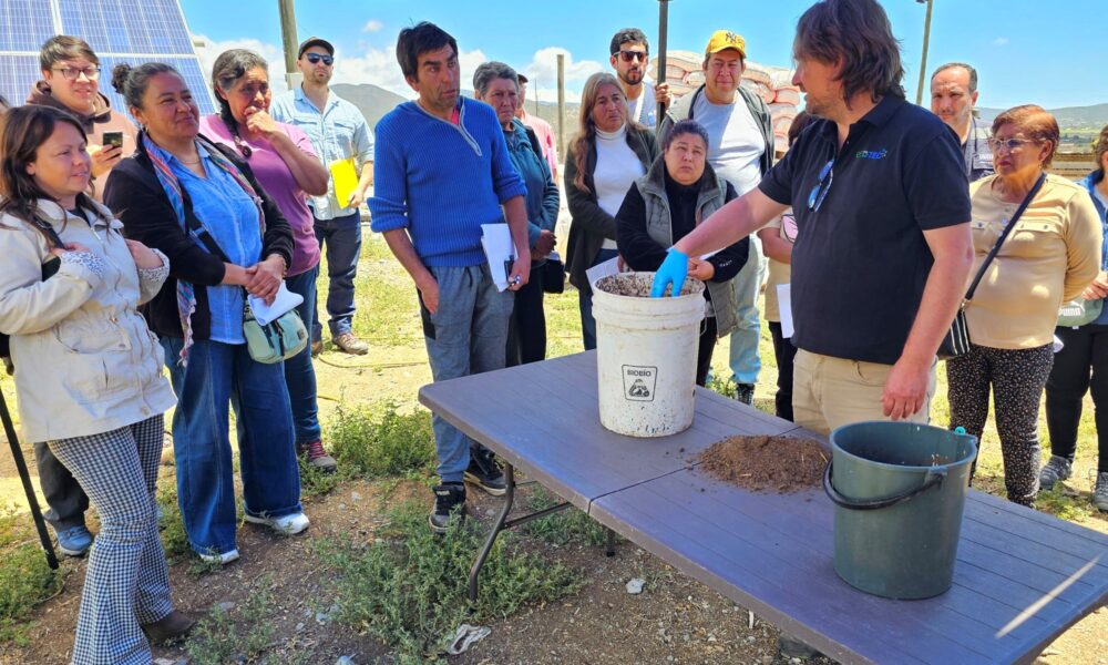 biogas