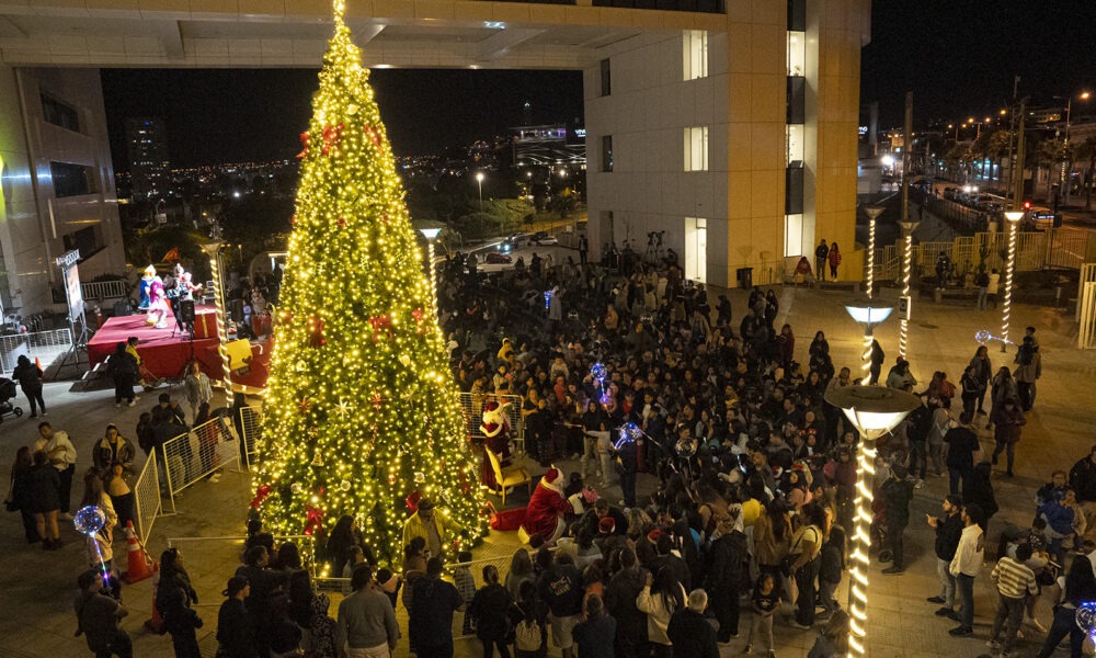 encendido árbol
