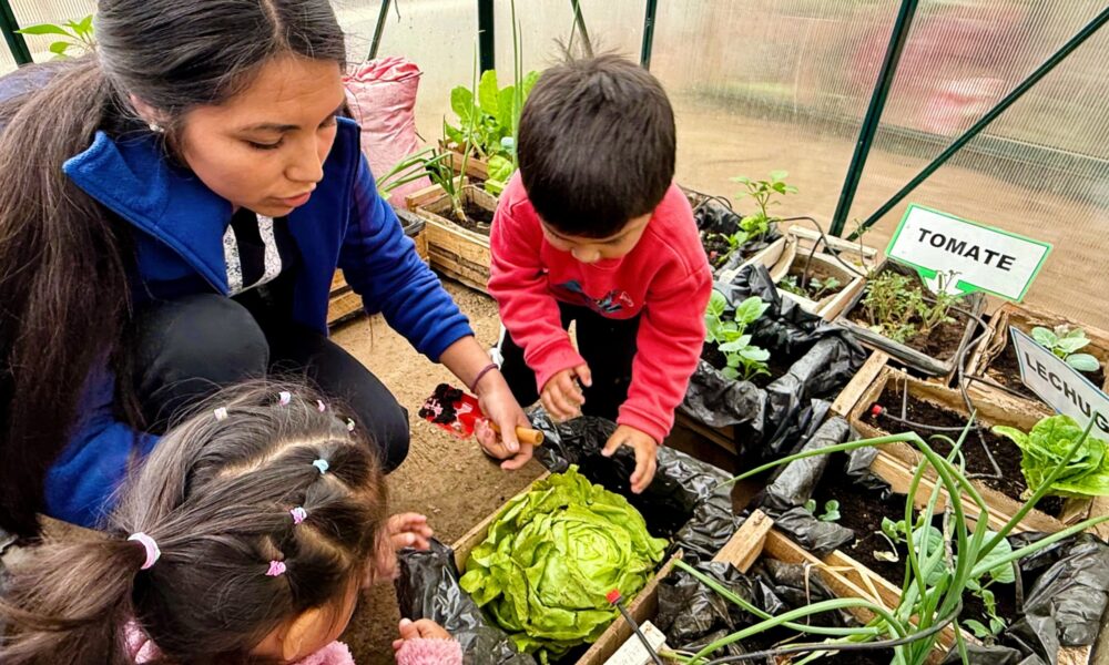 talleres de verano